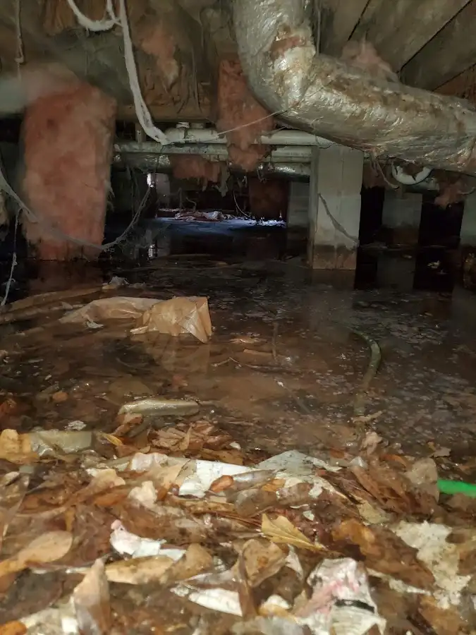 Crawl space flood assessment for Leak Detection & Repair in Parker